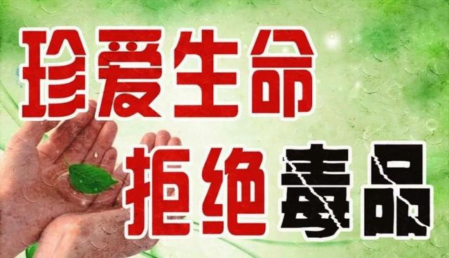 图片6.png 图片6.png